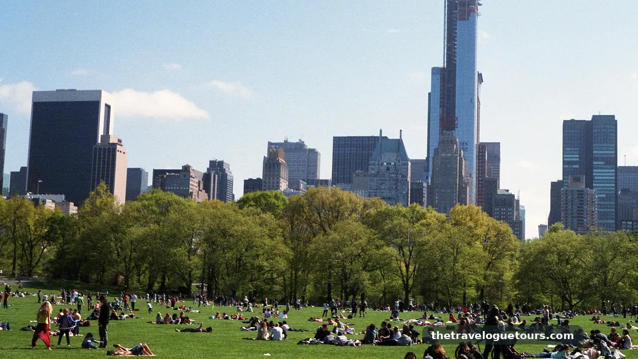 People enjoying a sunny day in Central Park with the New York City skyline in the background