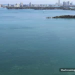 Miami Packages That Are Worth Your Money