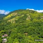 12 Things to Do in Jamaica Beyond the Resorts