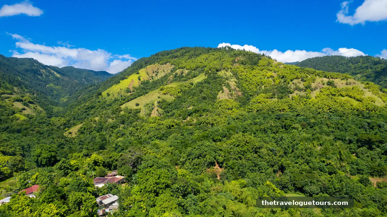 12 Things to Do in Jamaica Beyond the Resorts