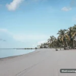 All Inclusive Florida Resorts for Families and Couples