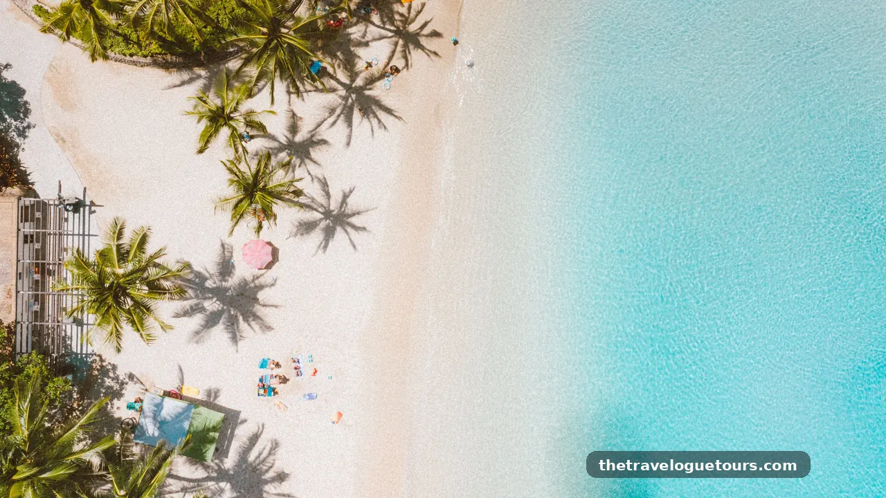 Aerial view of a palm fringed tropical beach with turquoise water