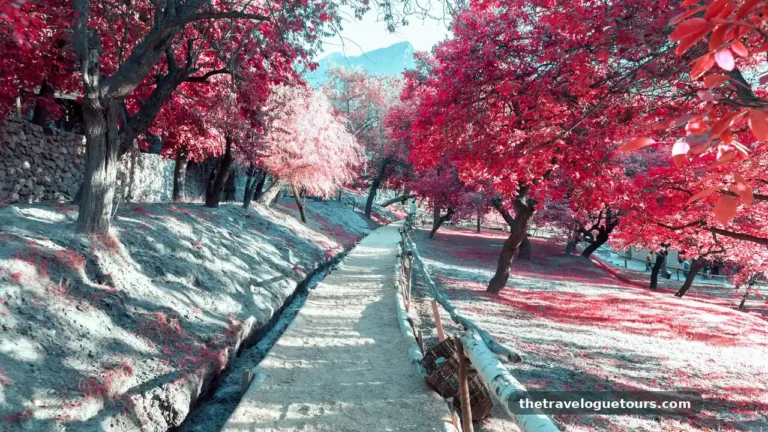 Where to Travel in Every Season