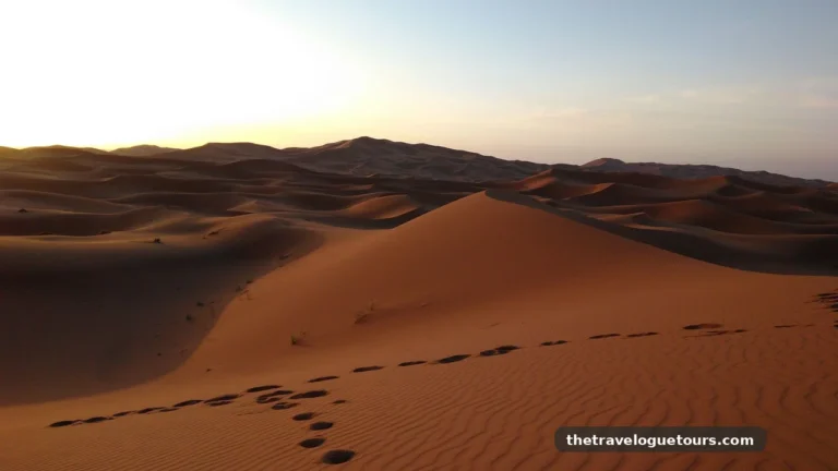 Your Sahara Desert Expedition, Planned Right
