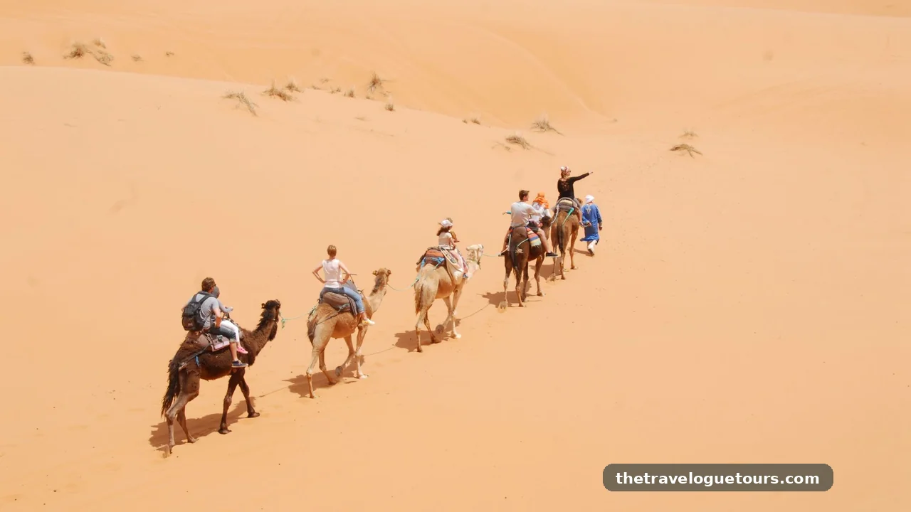 Camel caravan trekking through the Sahara Desert near Merzouga, Morocco