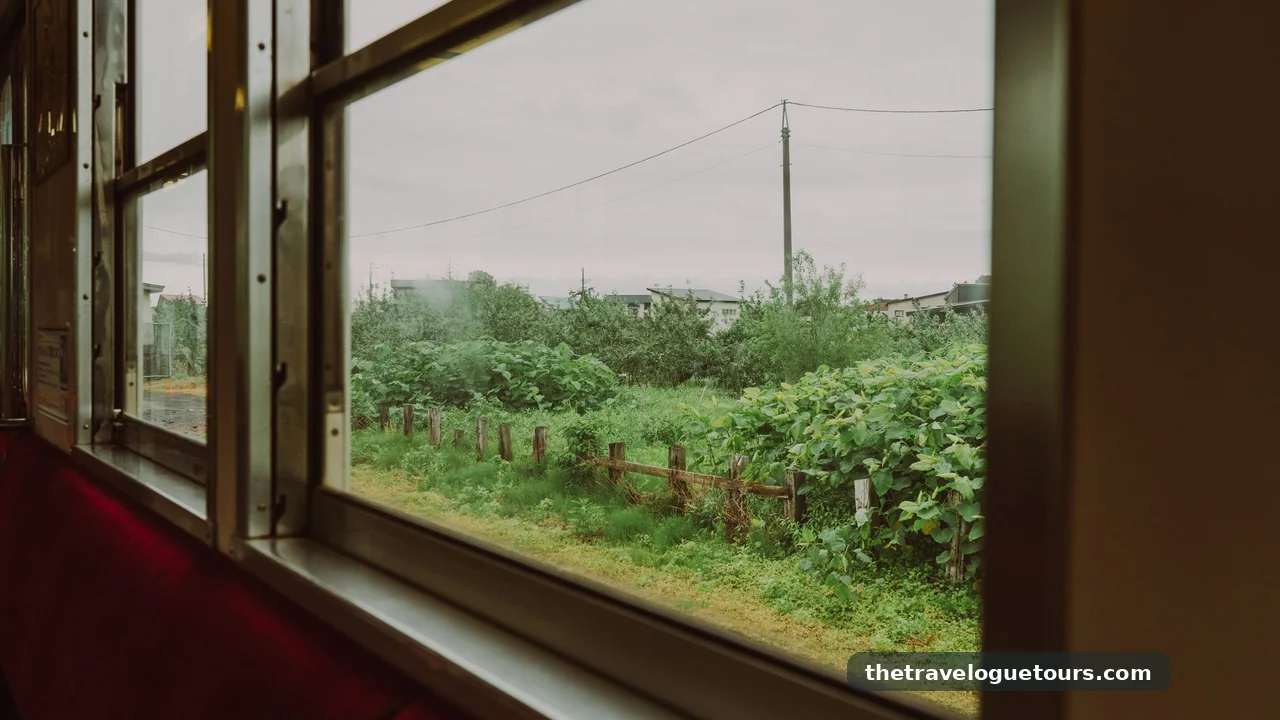 Lush green countryside rolling past a European train window