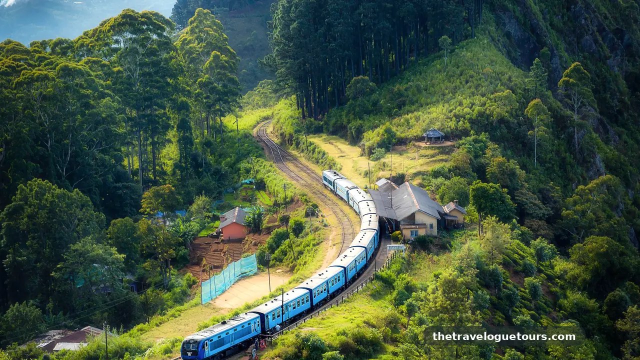 Blue train winding through lush green tea country hills in Sri Lanka