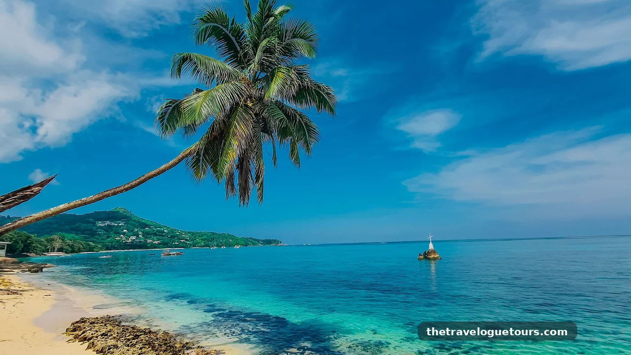 Palm tree leaning over a tropical beach with clear turquoise water and a small boat